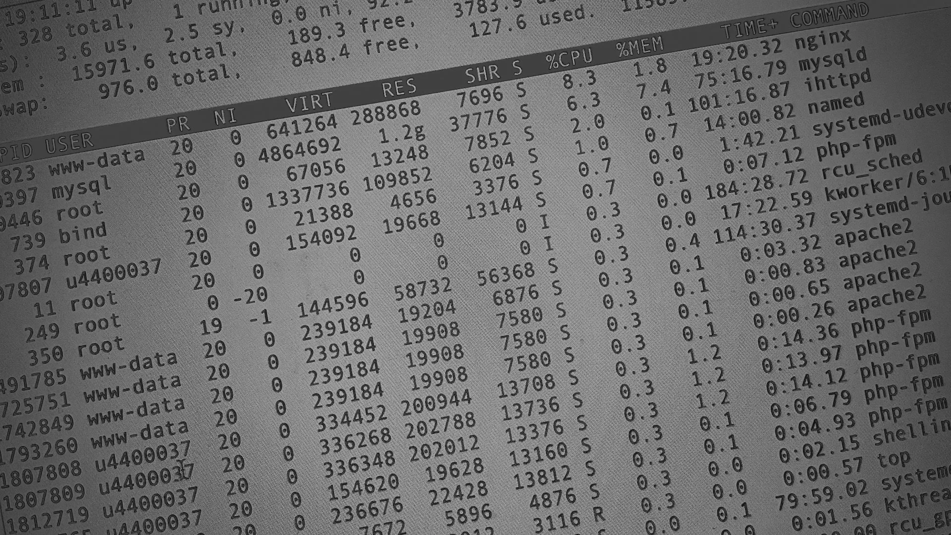 Настройка сервера в Арске Настройка сервера в Арске