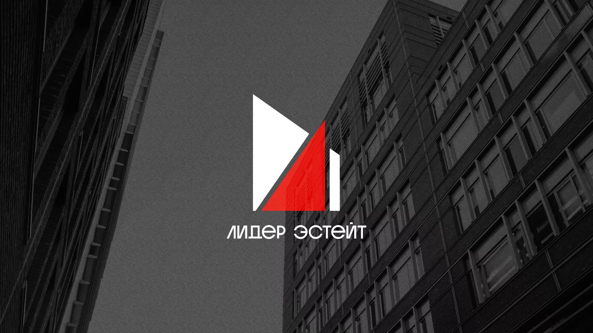 Сделали логотип для агентства недвижимости «Лидер Эстейт» в Арске